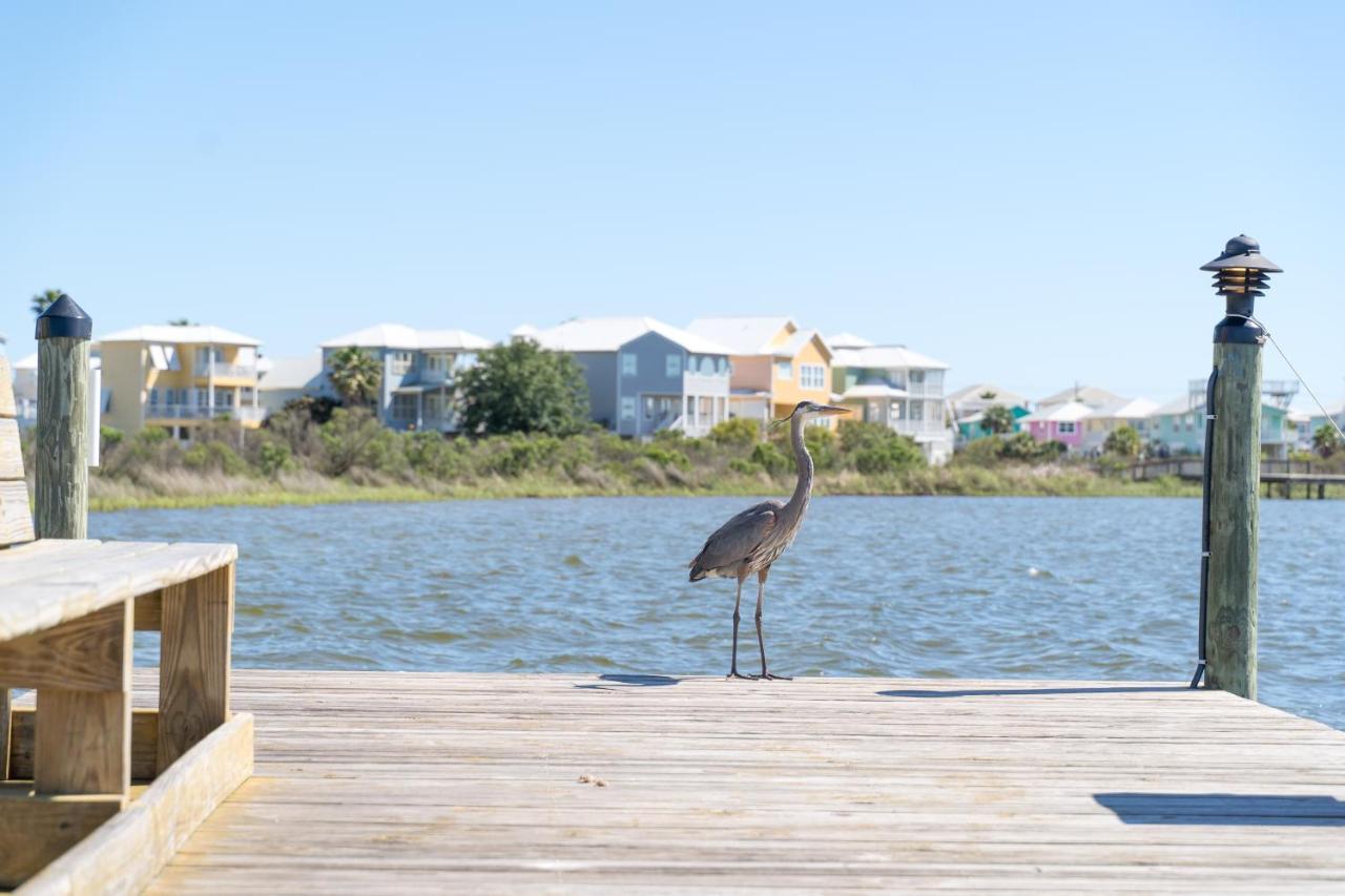 Compass Point 310 Apartment Gulf Shores Exterior foto
